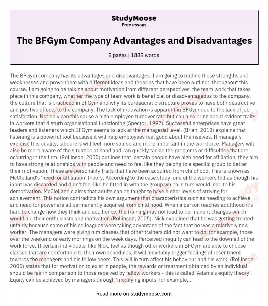 The BFGym Company Advantages and Disadvantages essay