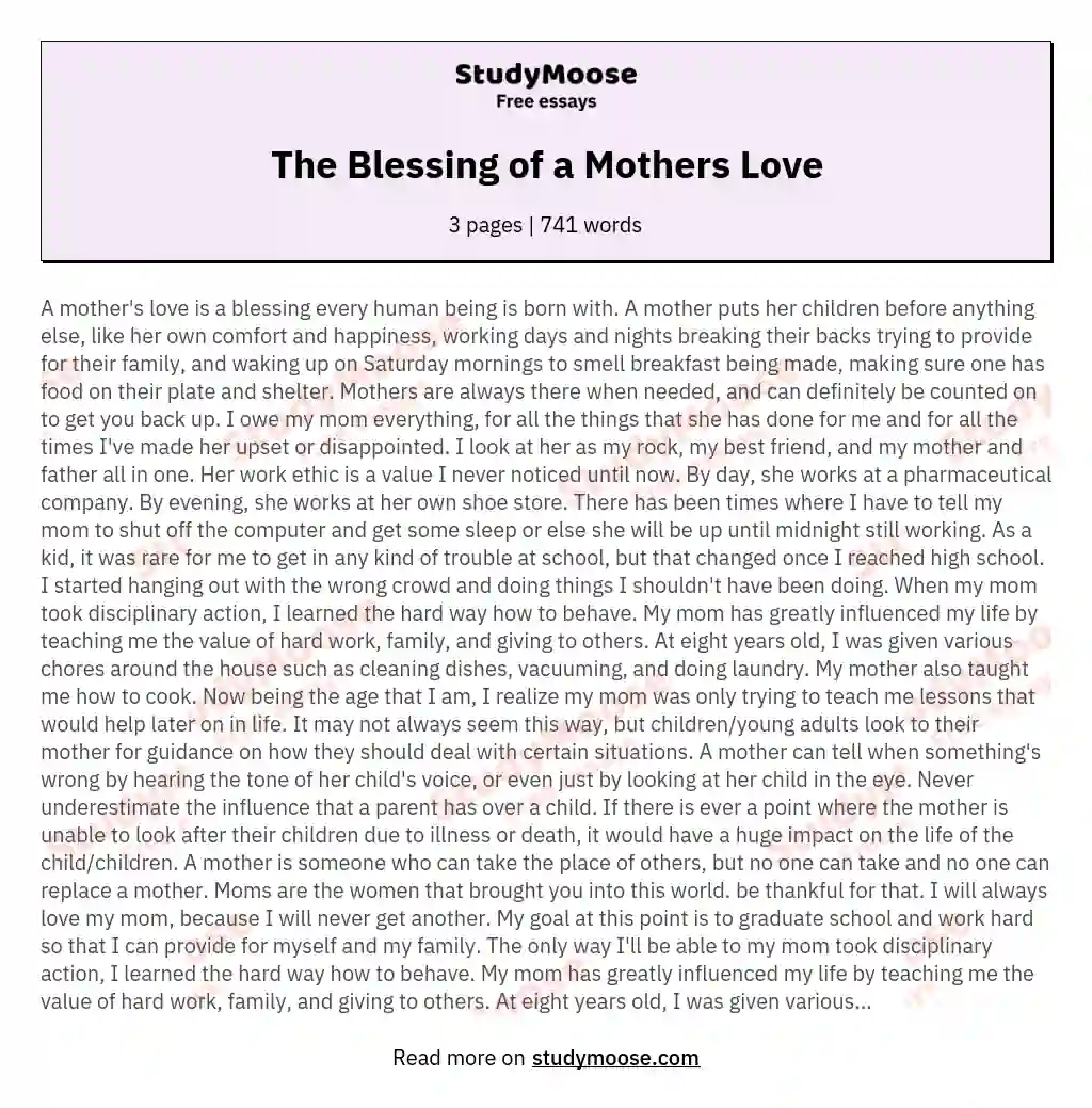 The Blessing of a Mothers Love essay