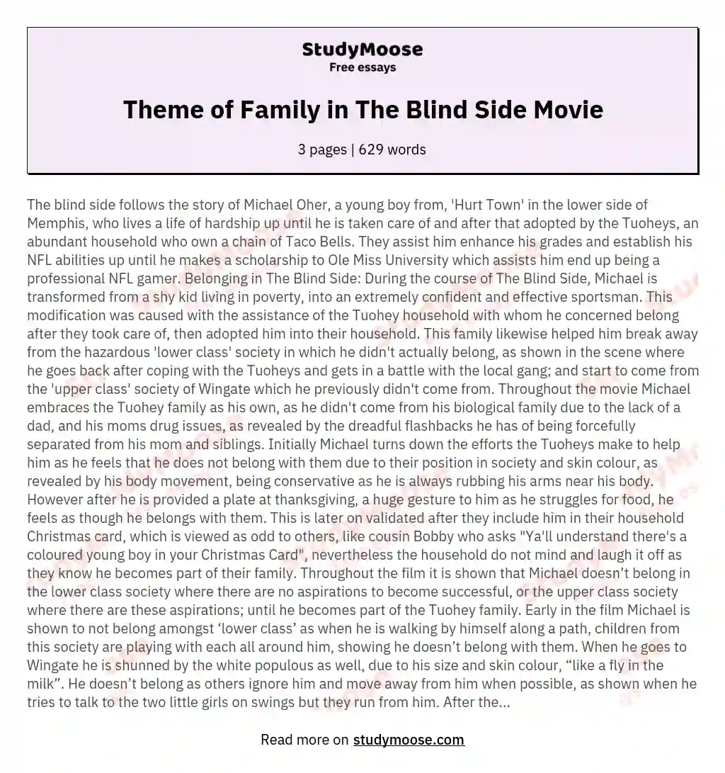 Theme of Family in The Blind Side Movie essay
