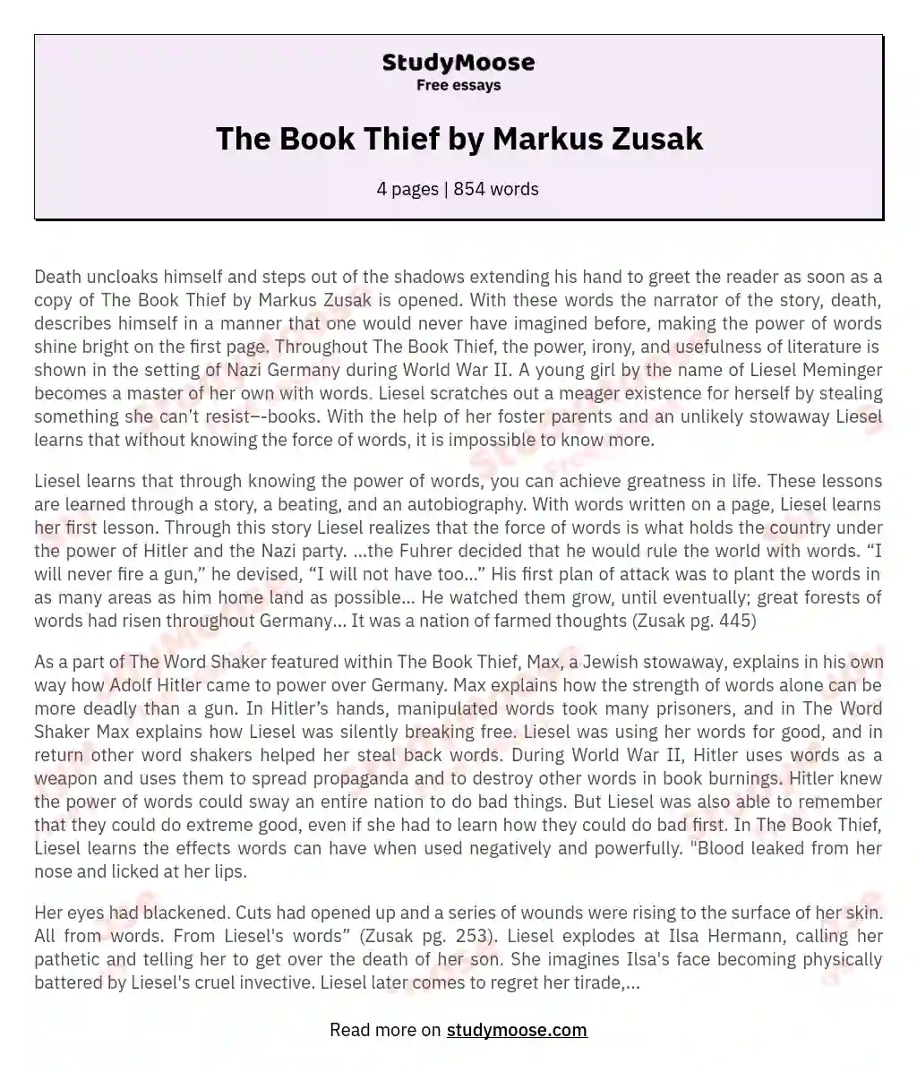 The Book Thief by Markus Zusak Free Essay Example