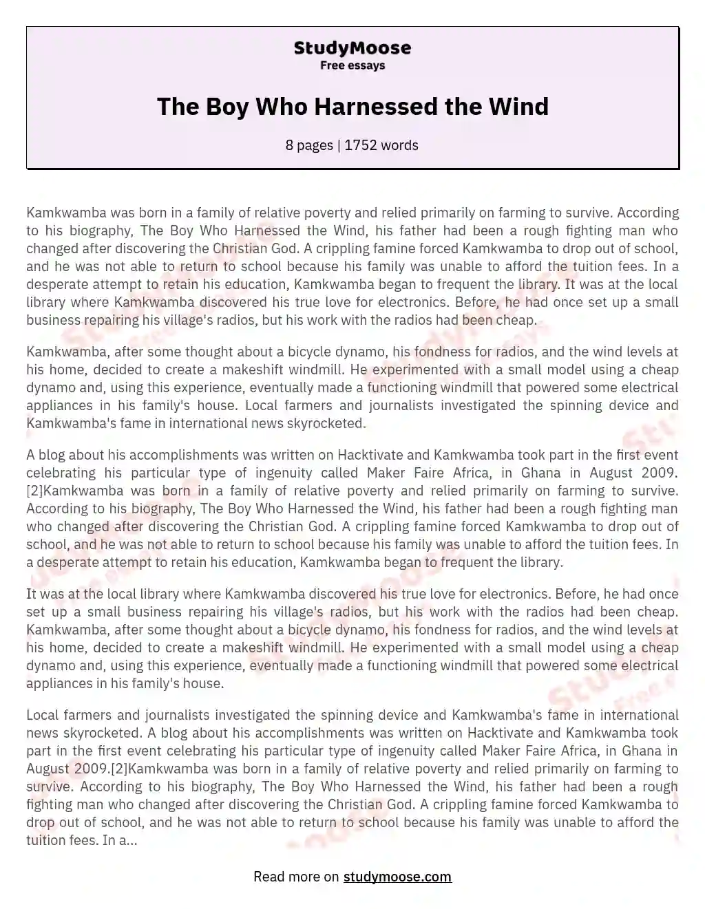 The Boy Who Harnessed the Wind essay
