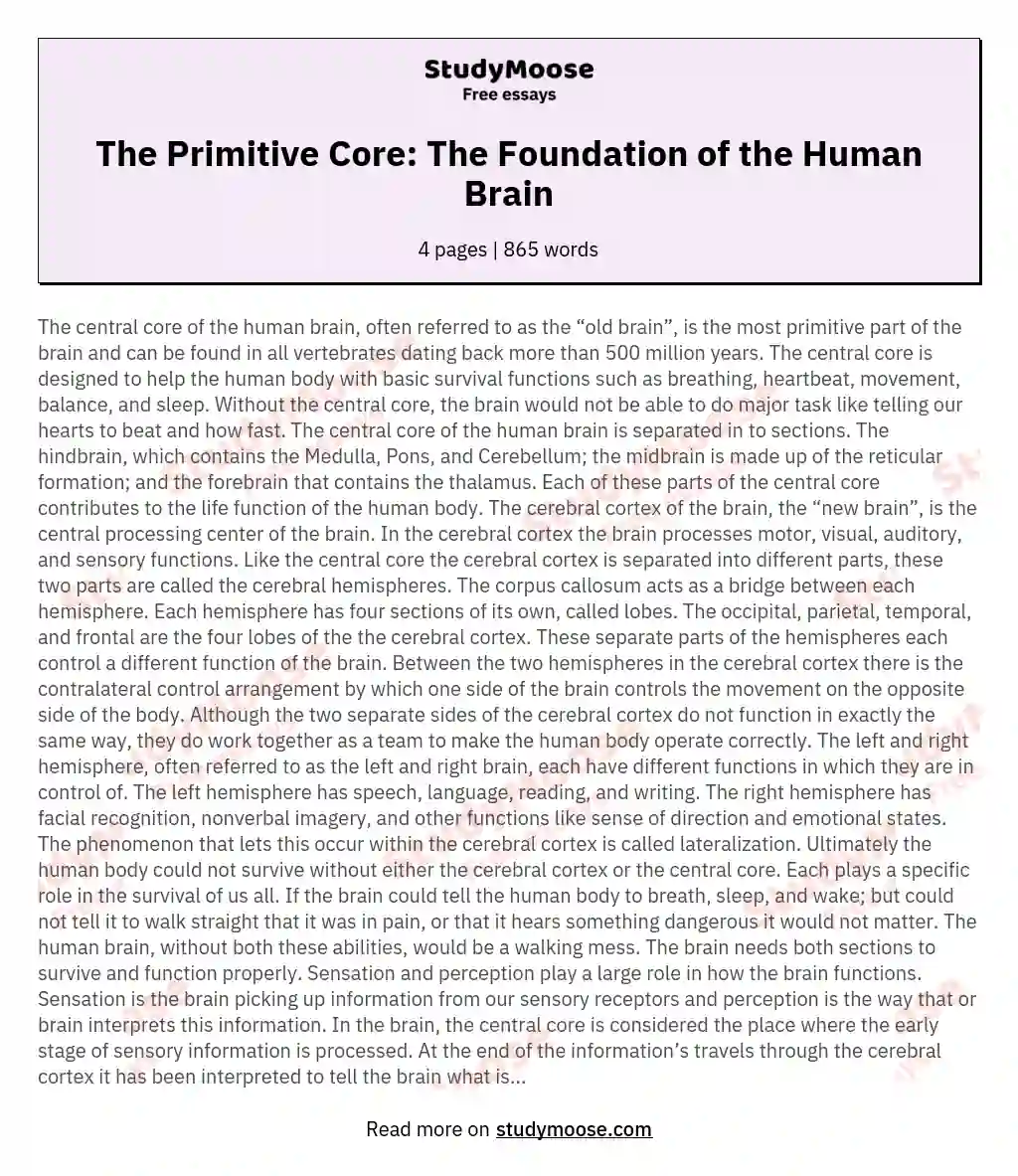 The Primitive Core: The Foundation of the Human Brain essay