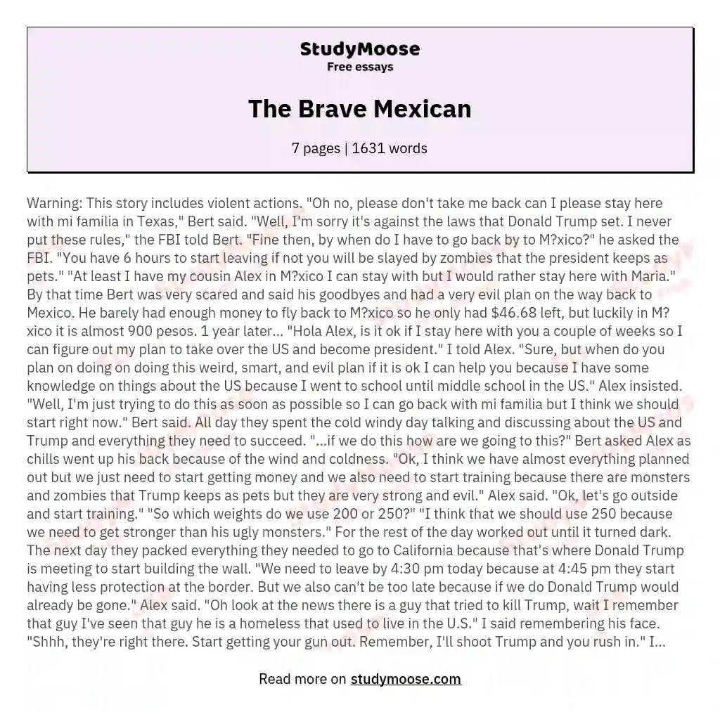 The Brave Mexican essay