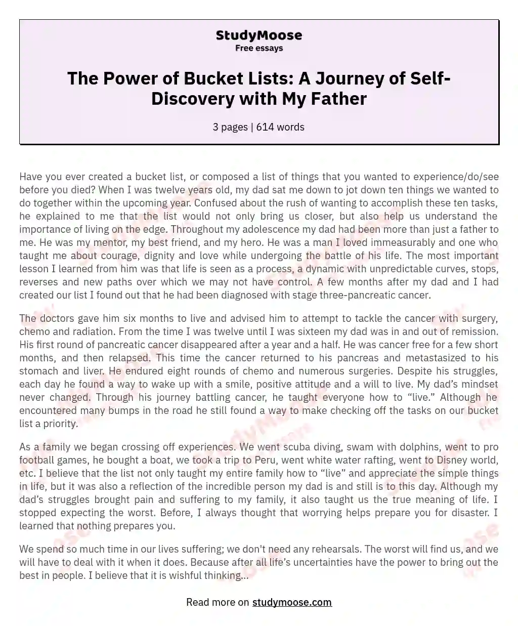The Power of Bucket Lists: A Journey of Self-Discovery with My Father essay
