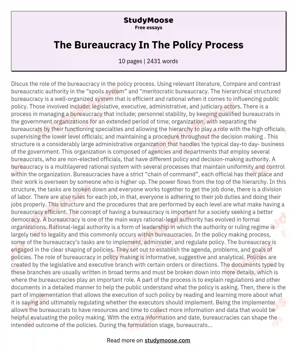 The Bureaucracy In The Policy Process essay
