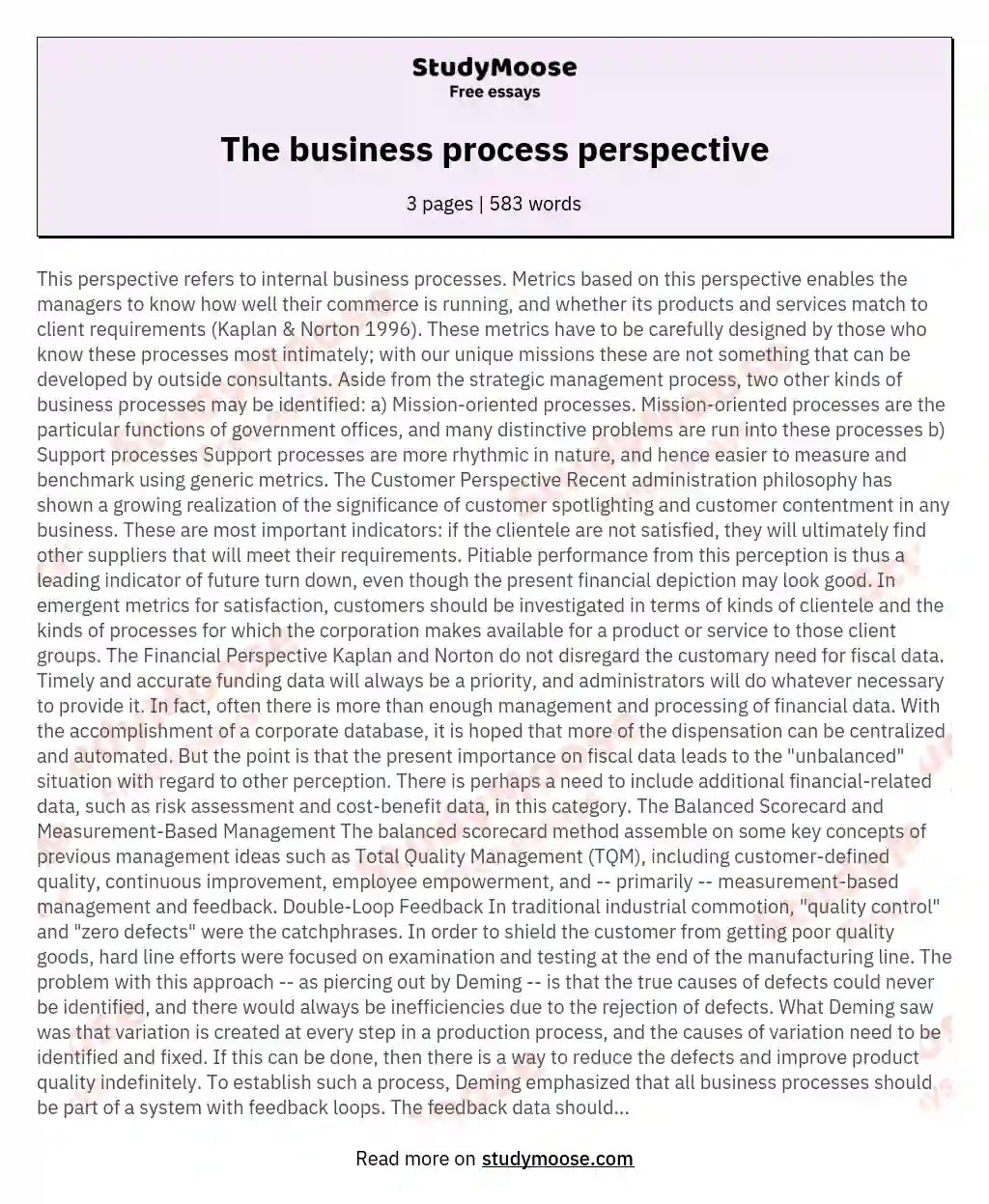 The business process perspective essay
