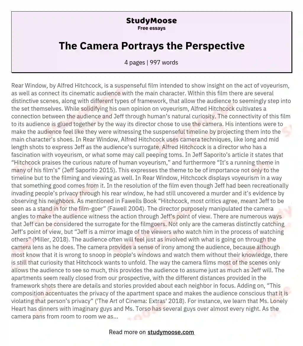 The Camera Portrays the Perspective essay