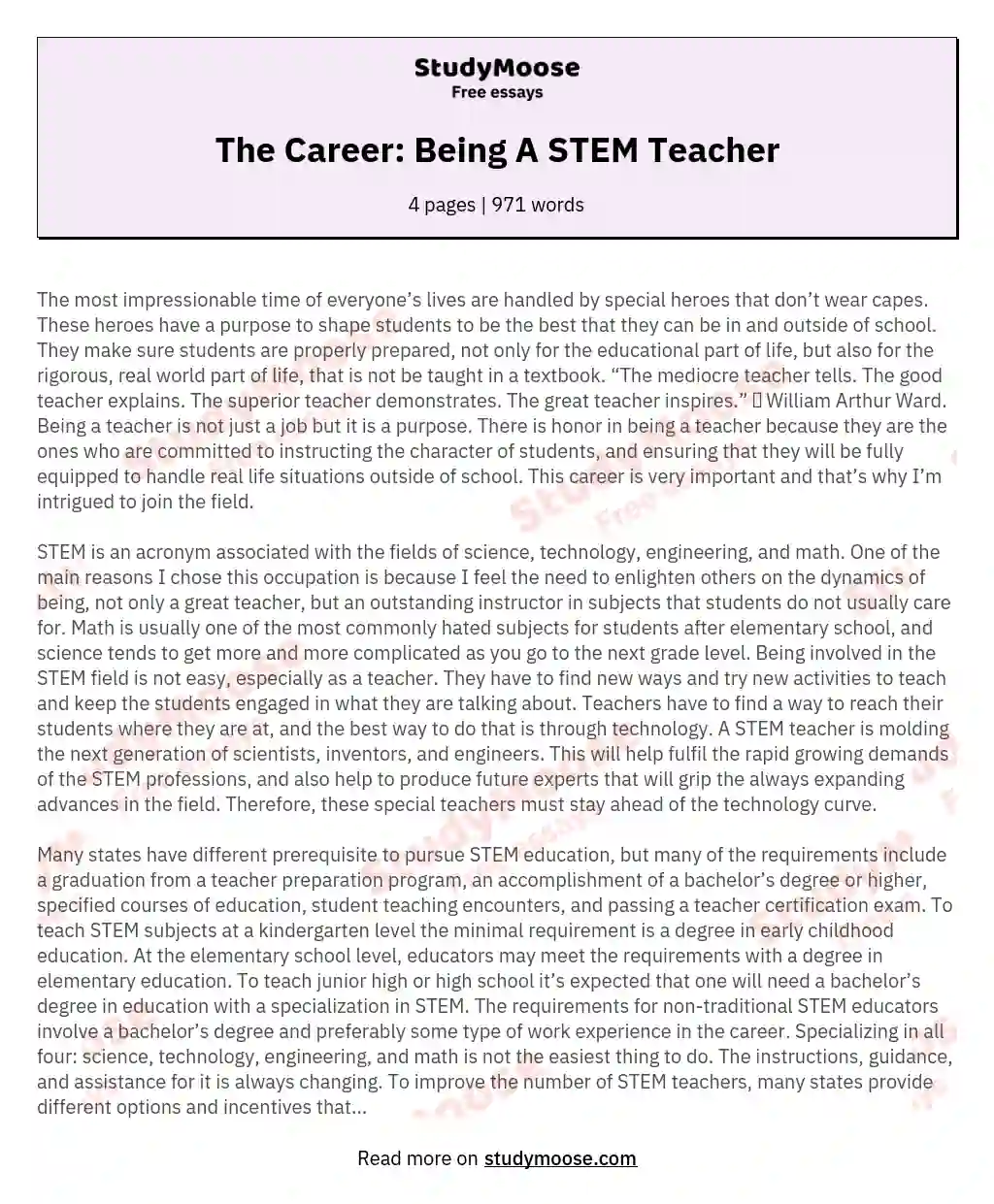 The Career: Being A STEM Teacher essay