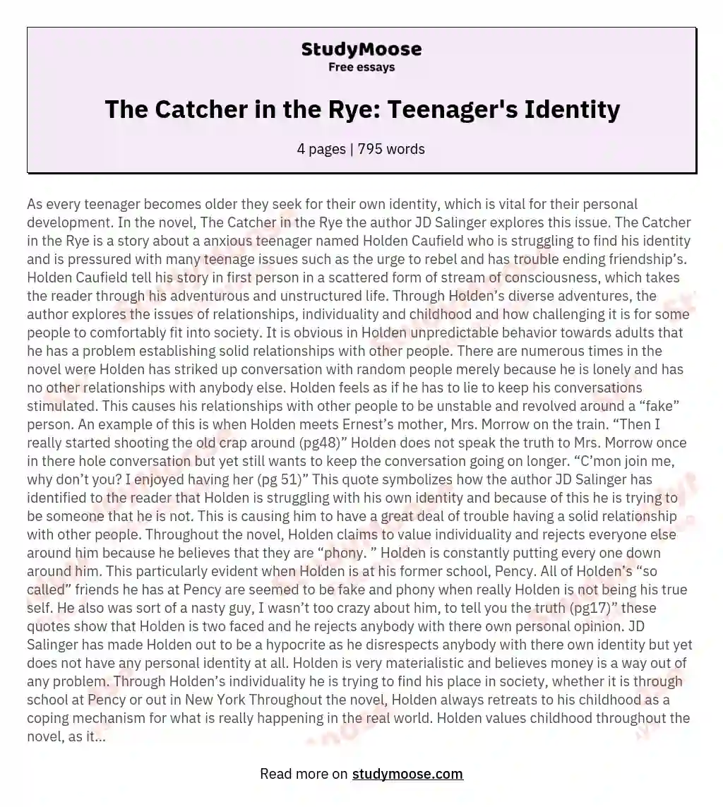 The Catcher in the Rye: Teenager's Identity essay