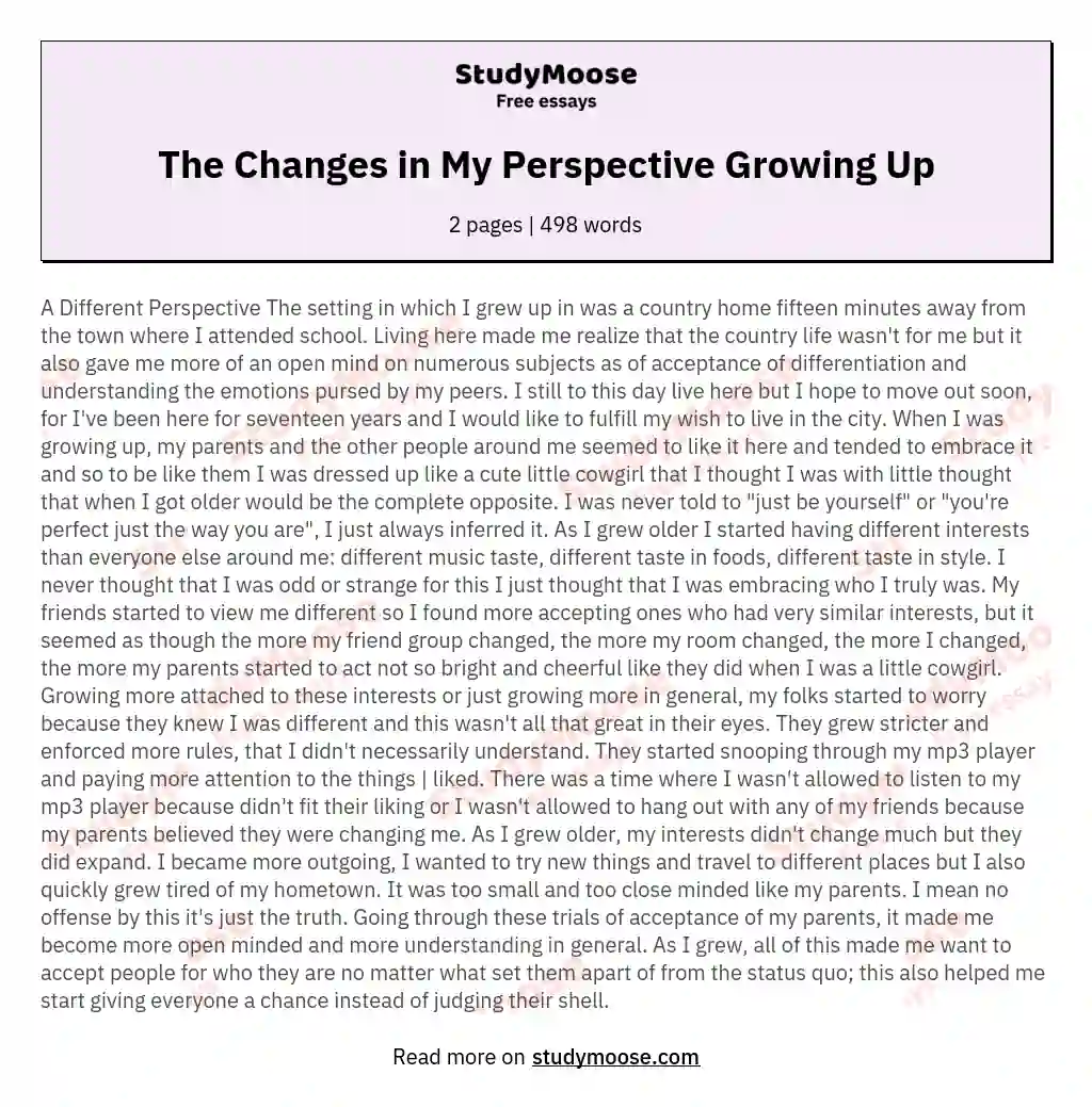 The Changes in My Perspective Growing Up essay