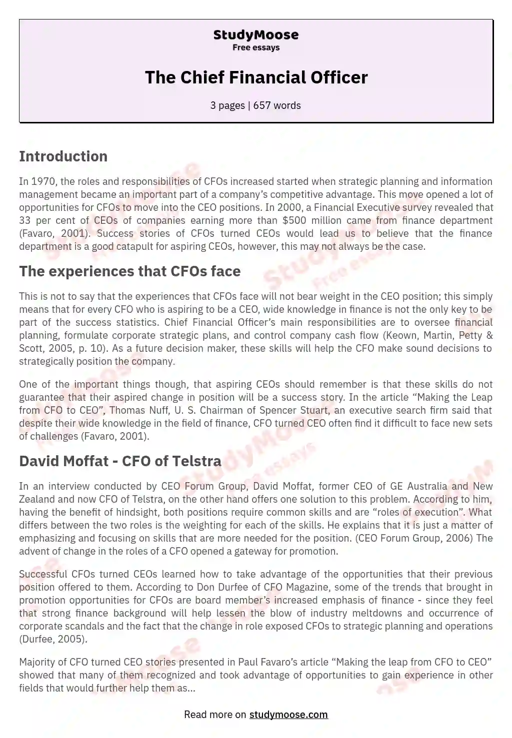The Chief Financial Officer essay