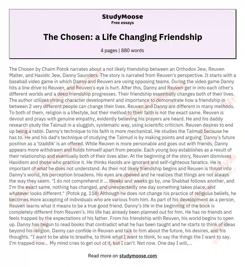 The Chosen: a Life Changing Friendship essay