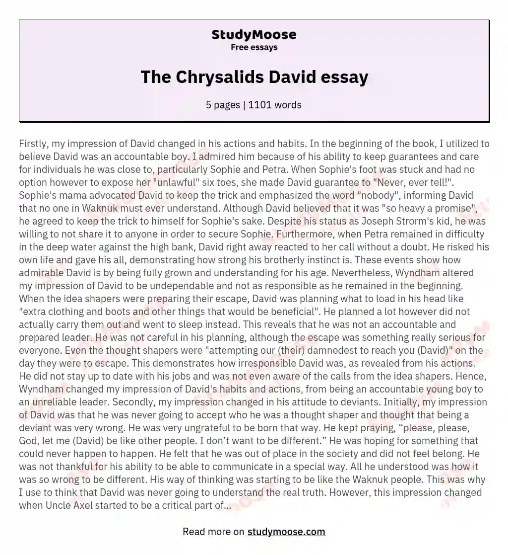 The Chrysalids David essay