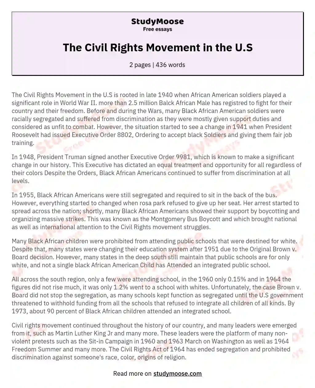 The Civil Rights Movement in the U.S essay