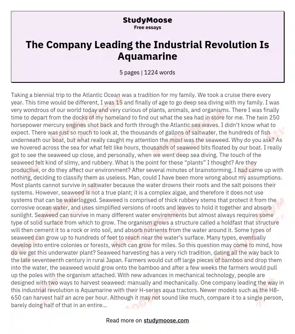 The Company Leading the Industrial Revolution Is Aquamarine essay