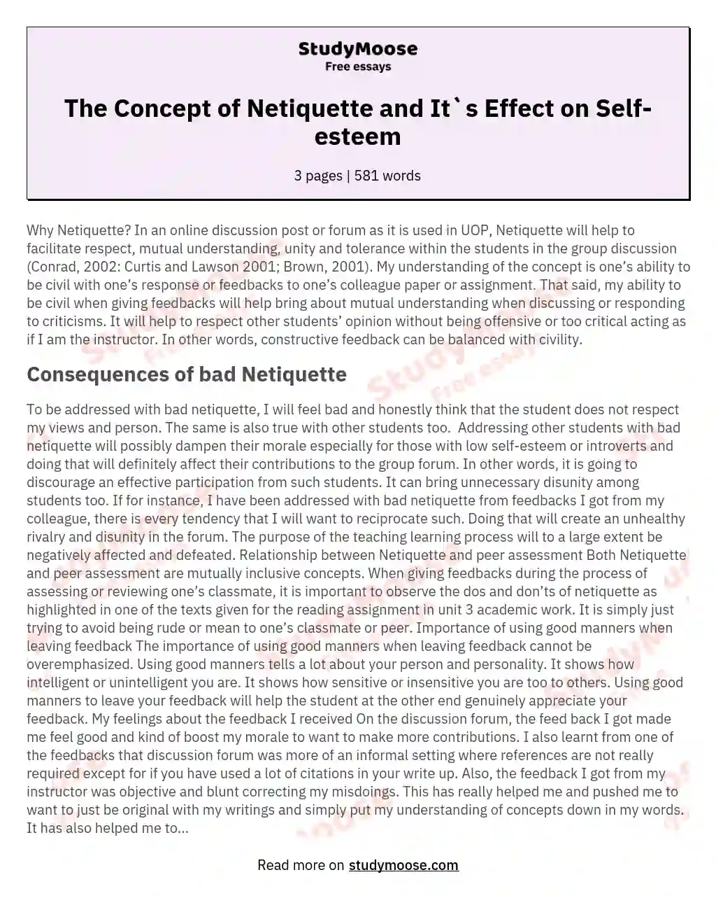 The Concept of Netiquette and It`s Effect on Self-esteem