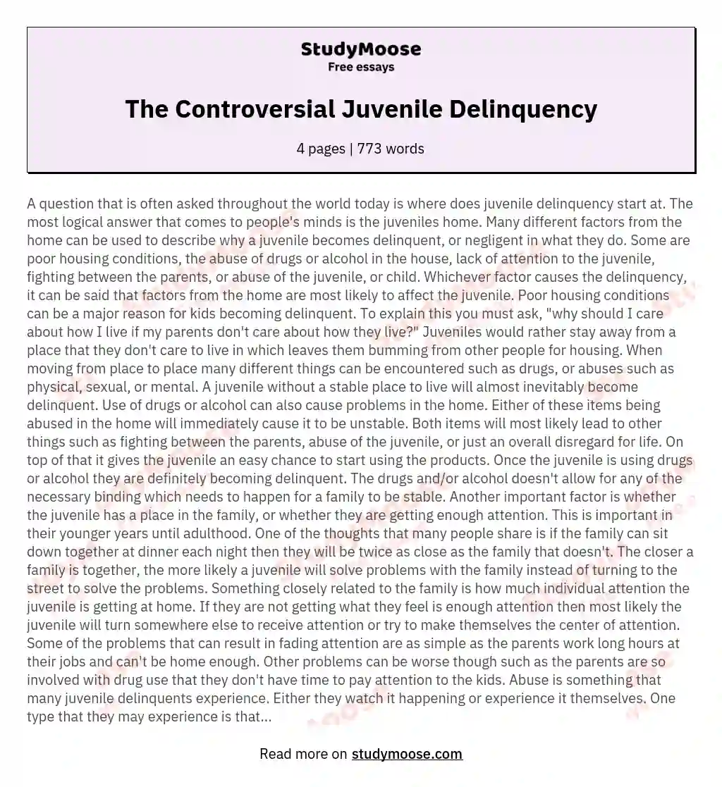 The Controversial Juvenile Delinquency essay