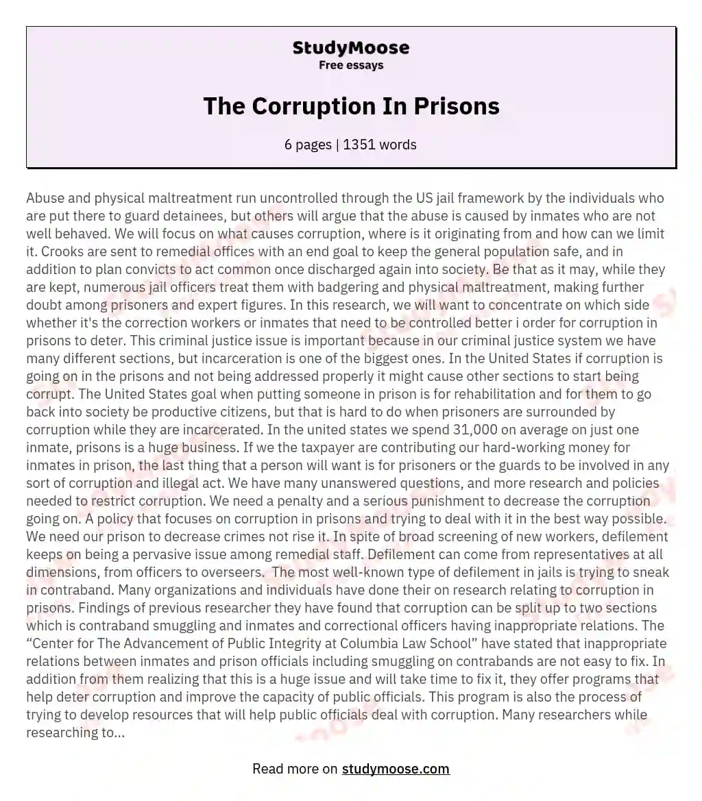 The Corruption In Prisons essay