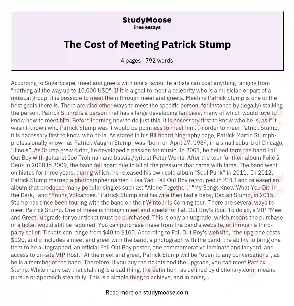 Ethical Fan Engagement: Respectfully Meeting Patrick Stump essay