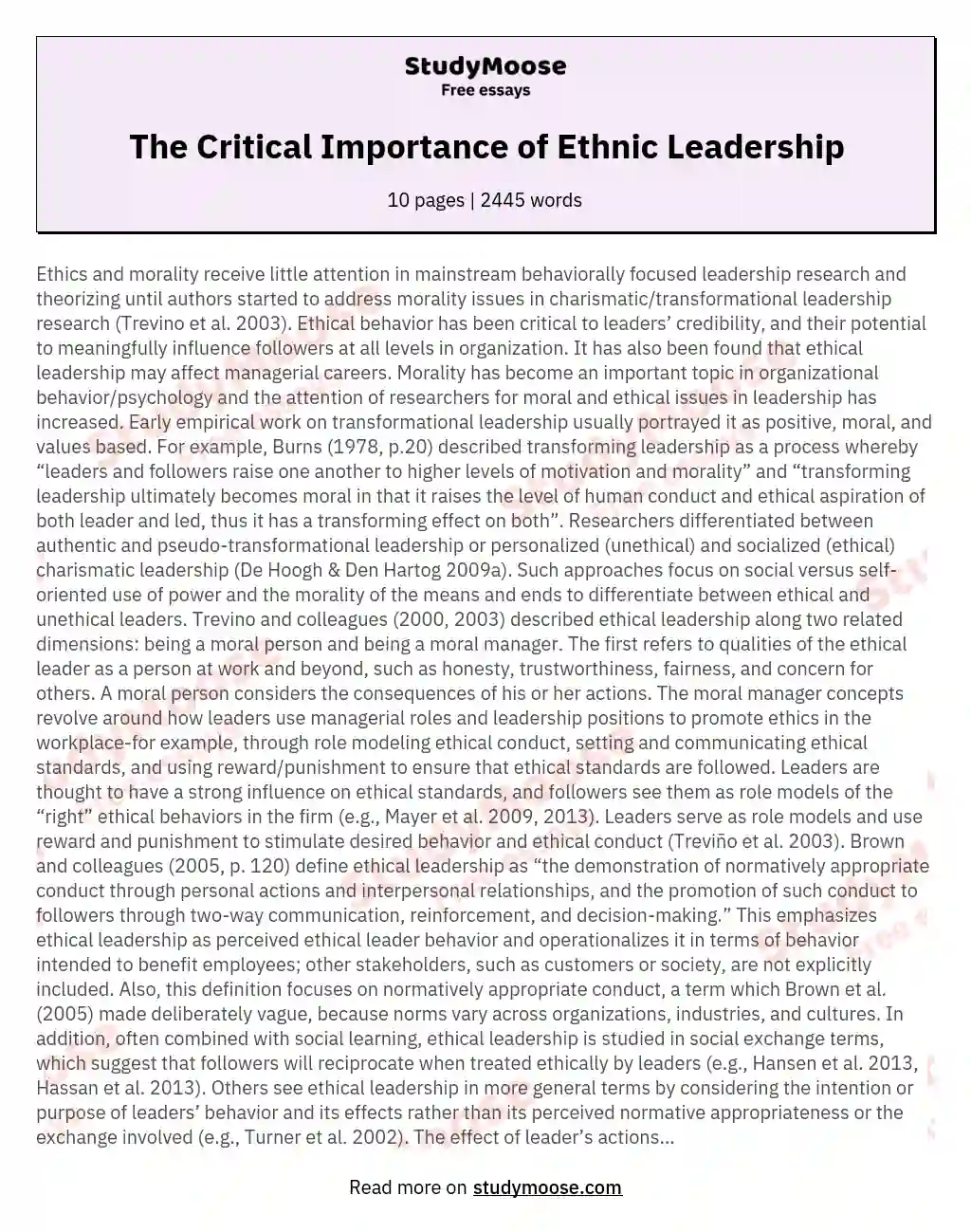 The Critical Importance of Ethnic Leadership essay