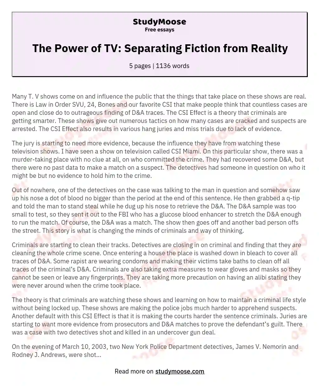 The Power of TV: Separating Fiction from Reality essay
