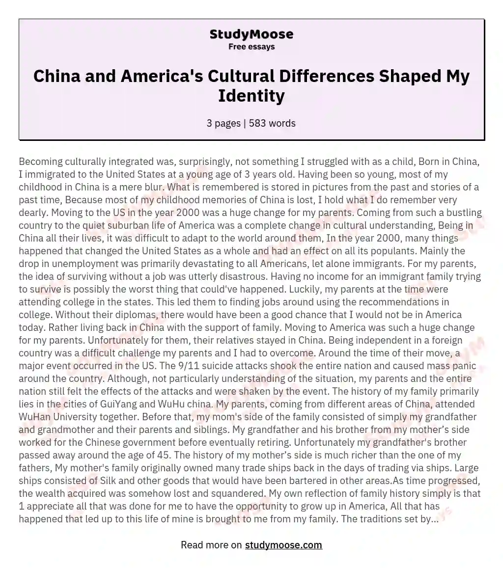 China and America's Cultural Differences Shaped My Identity essay
