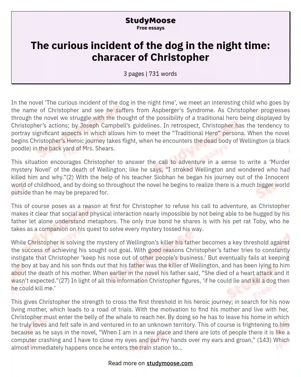 The curious incident of the dog in the night time: characer of Christopher
