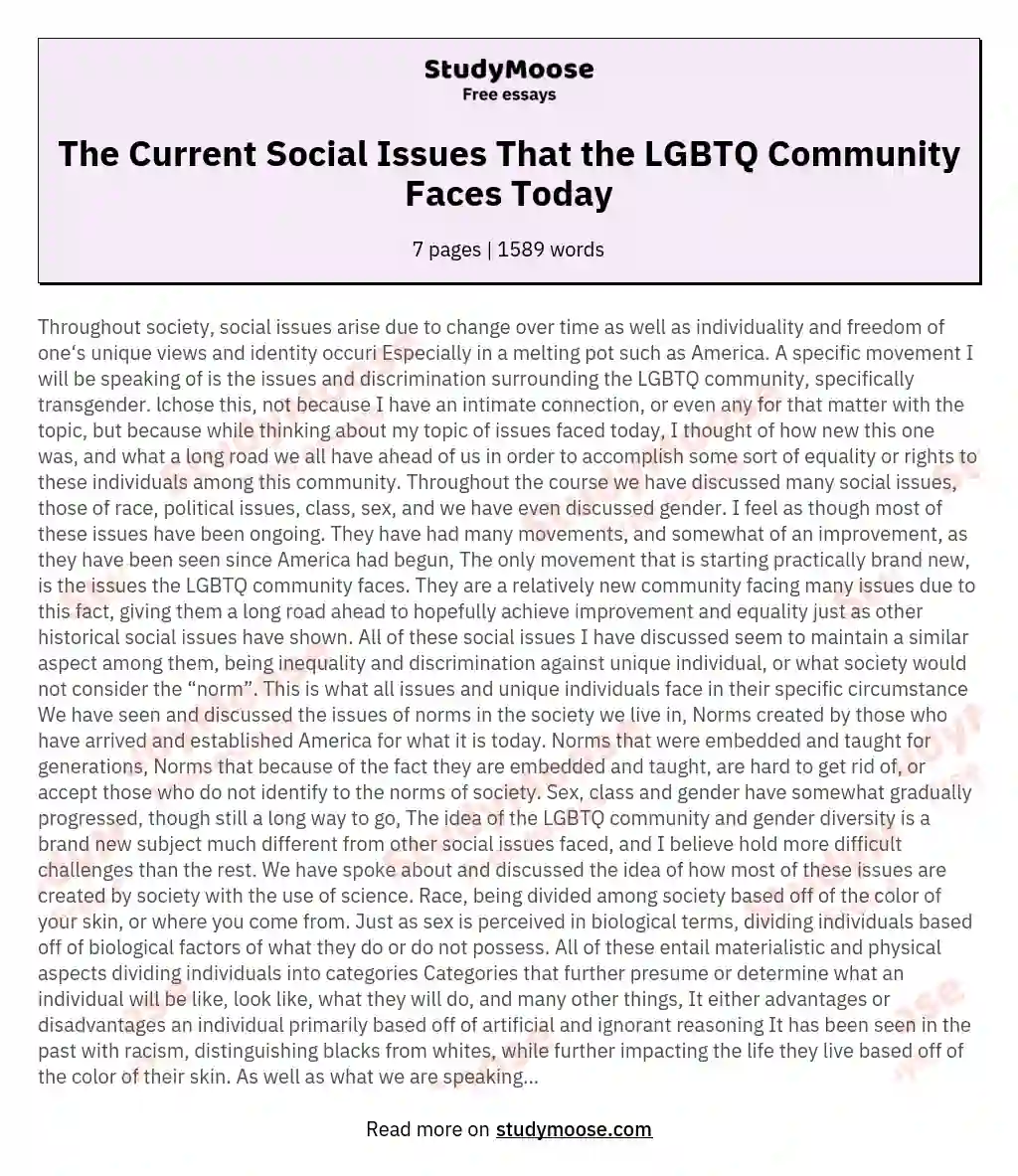 The Current Social Issues That the LGBTQ Community Faces Today essay