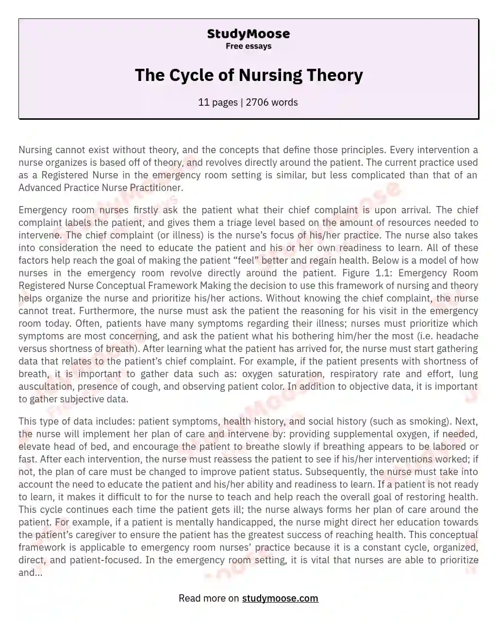 Emergency Room Nursing: Prioritizing Patient Care and Interventions essay