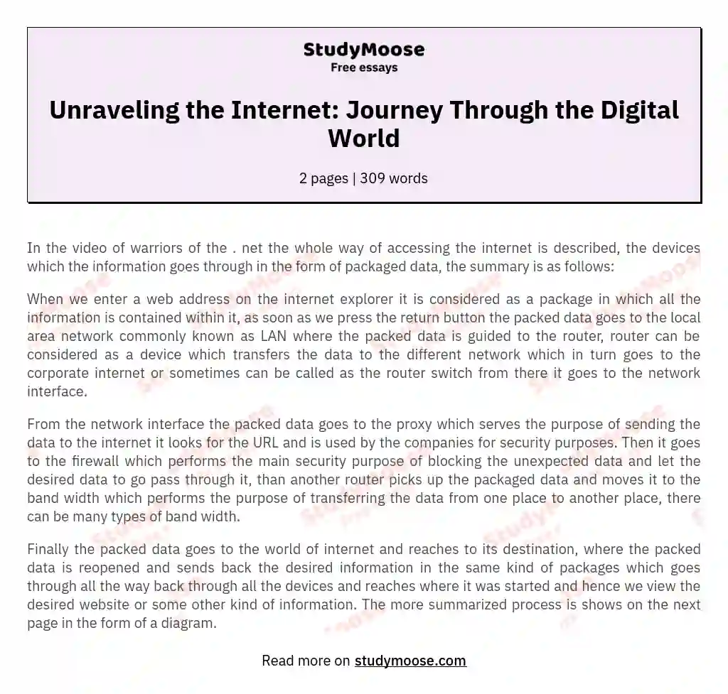 Unraveling the Internet: Journey Through the Digital World essay