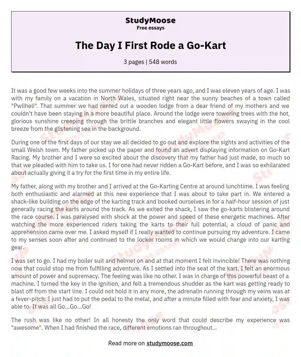 The Day I First Rode a Go-Kart essay
