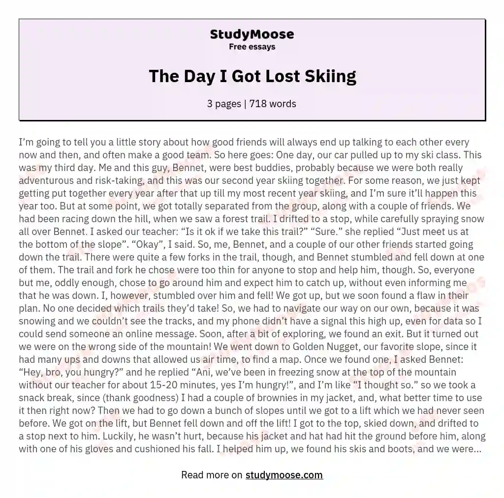The Day I Got Lost Skiing essay
