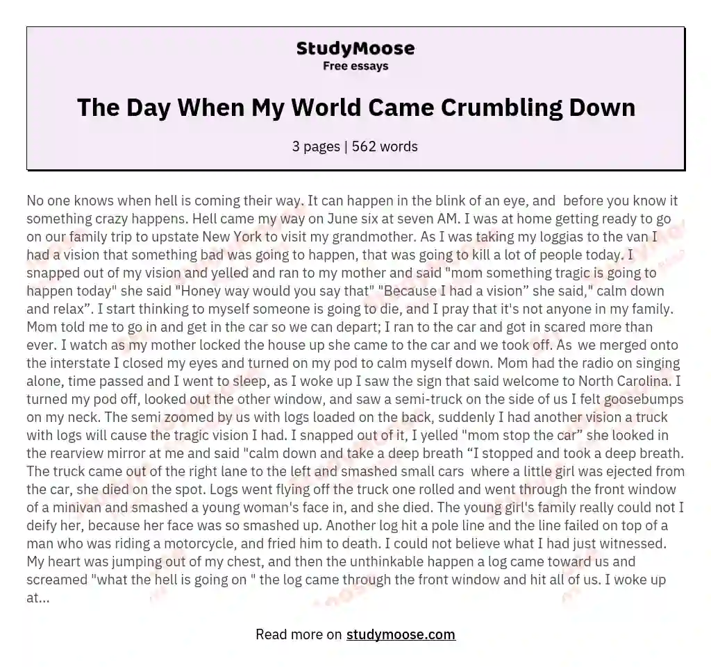 The Day When My World Came Crumbling Down essay