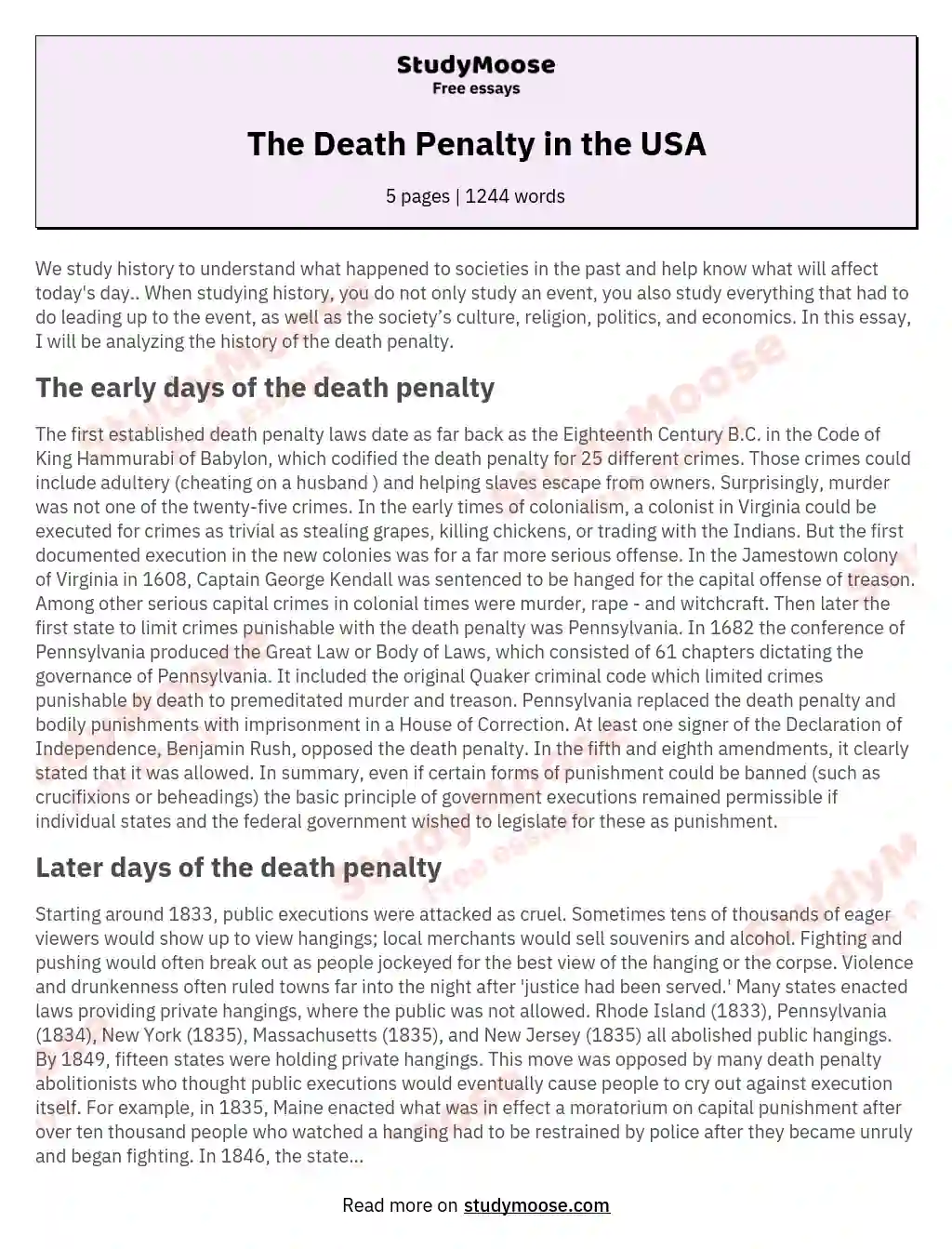 The Death Penalty in the USA essay