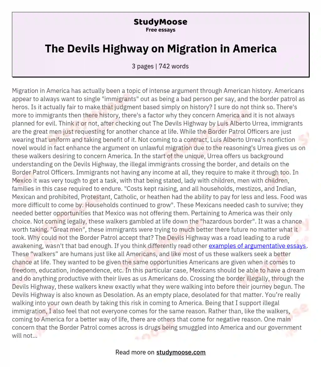 The Devils Highway on Migration in America essay