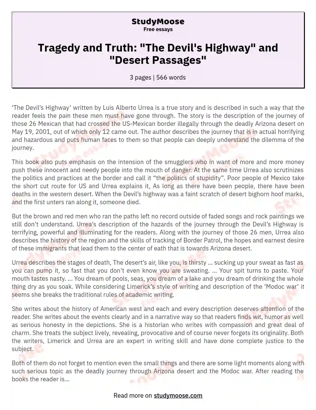 Tragedy and Truth: "The Devil's Highway" and "Desert Passages" essay