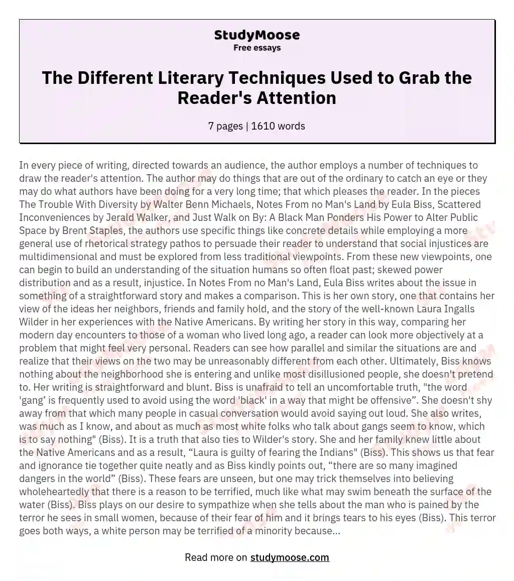 The Different Literary Techniques Used to Grab the Reader's Attention essay