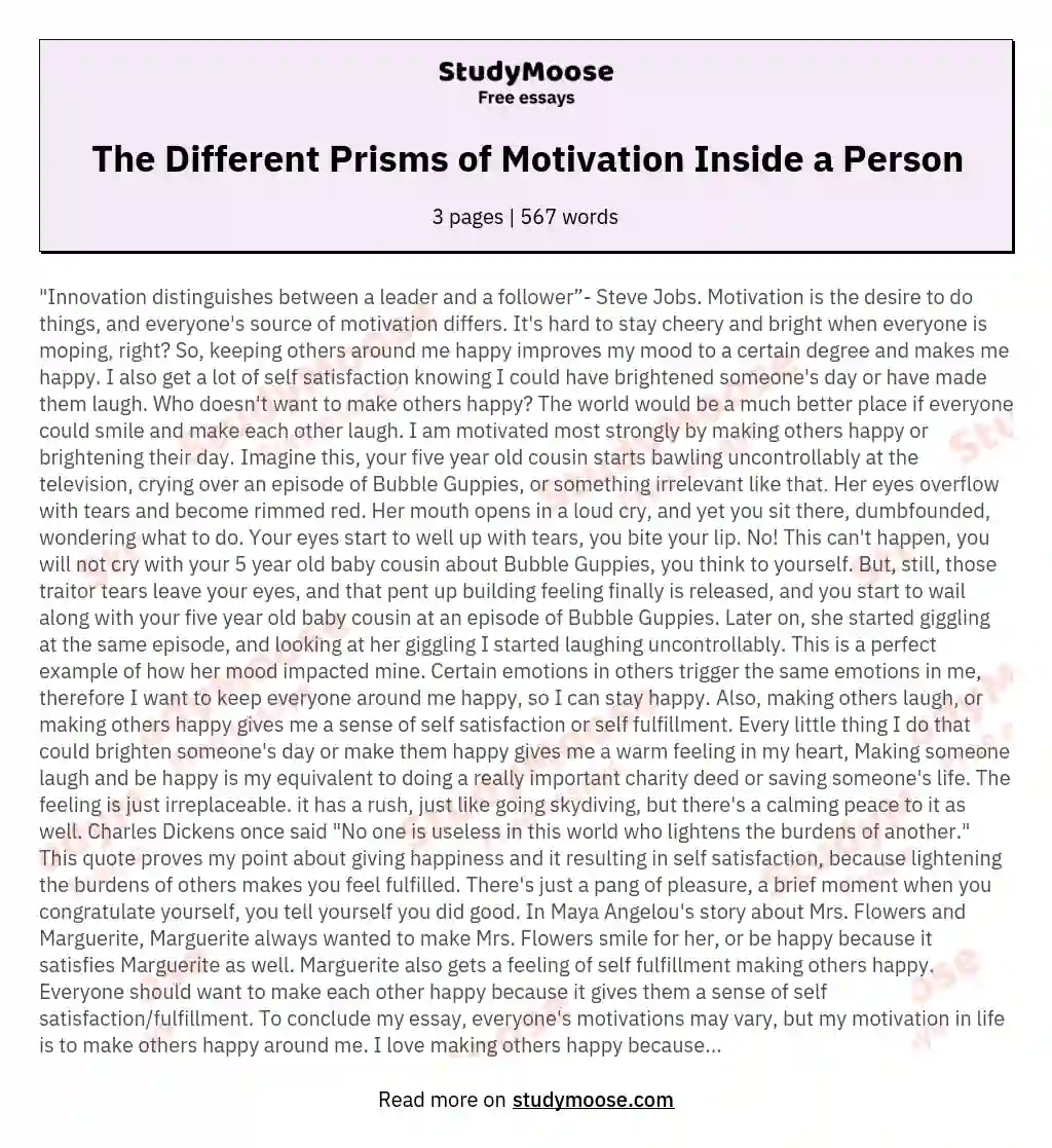 The Different Prisms of Motivation Inside a Person essay