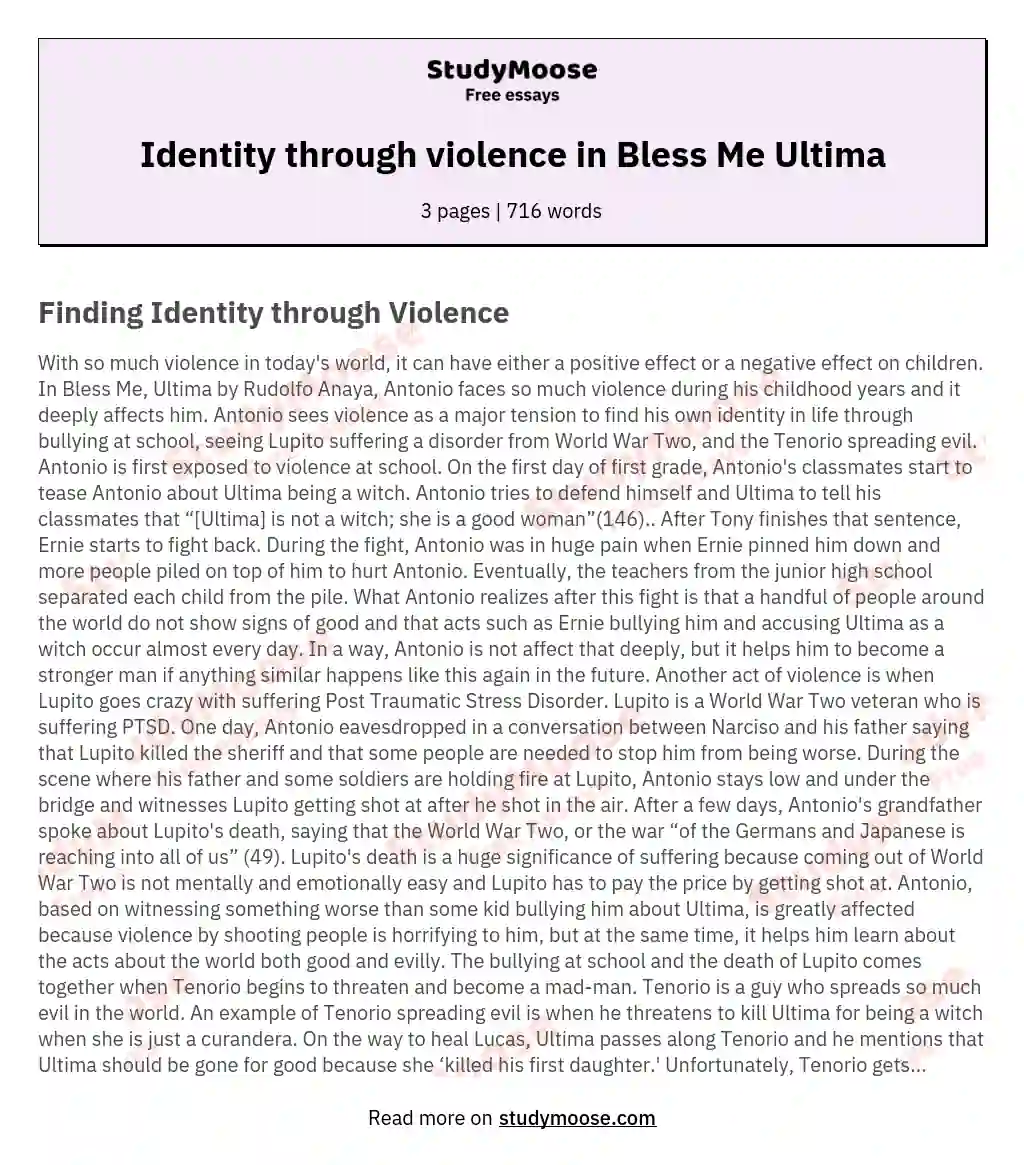 Identity through violence in Bless Me Ultima essay