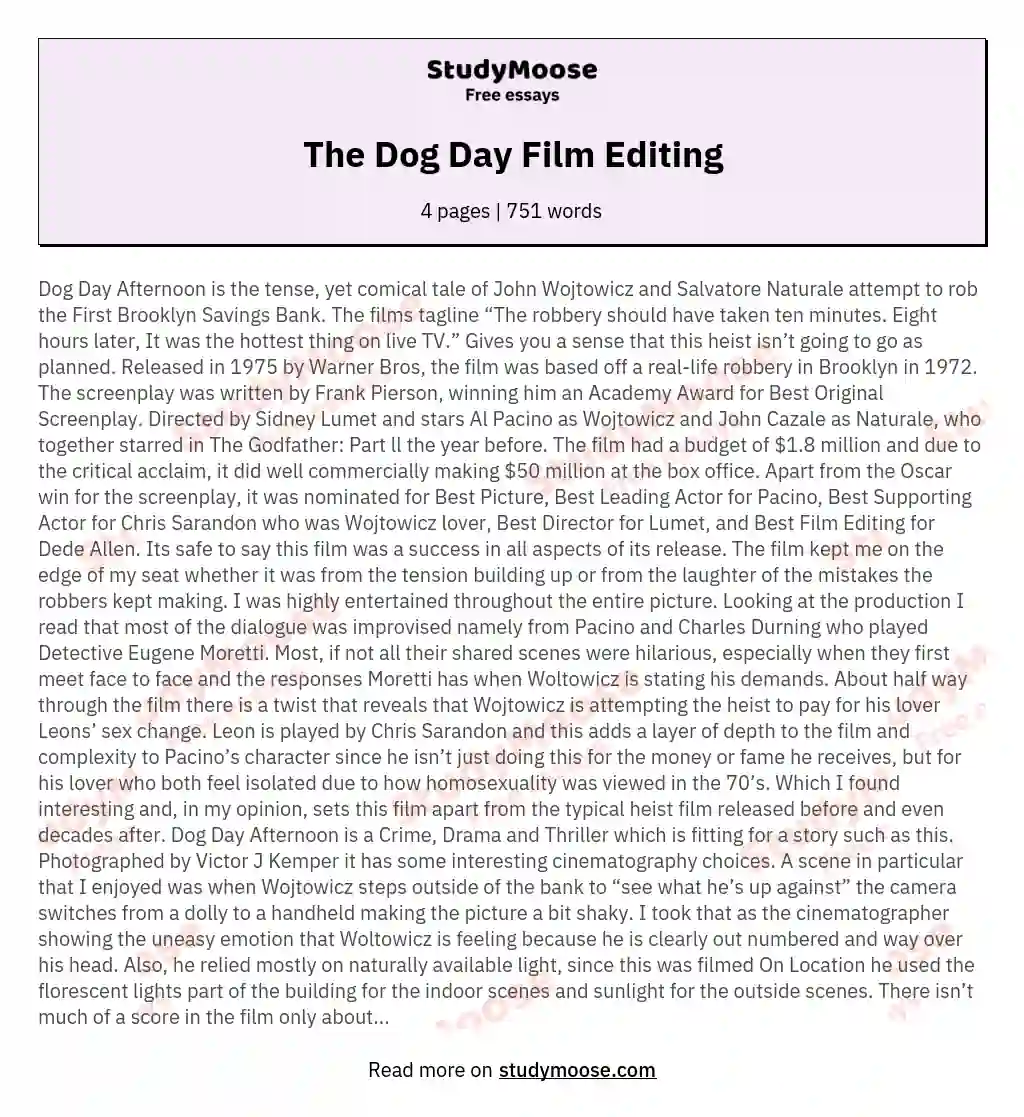 The Dog Day Film Editing essay