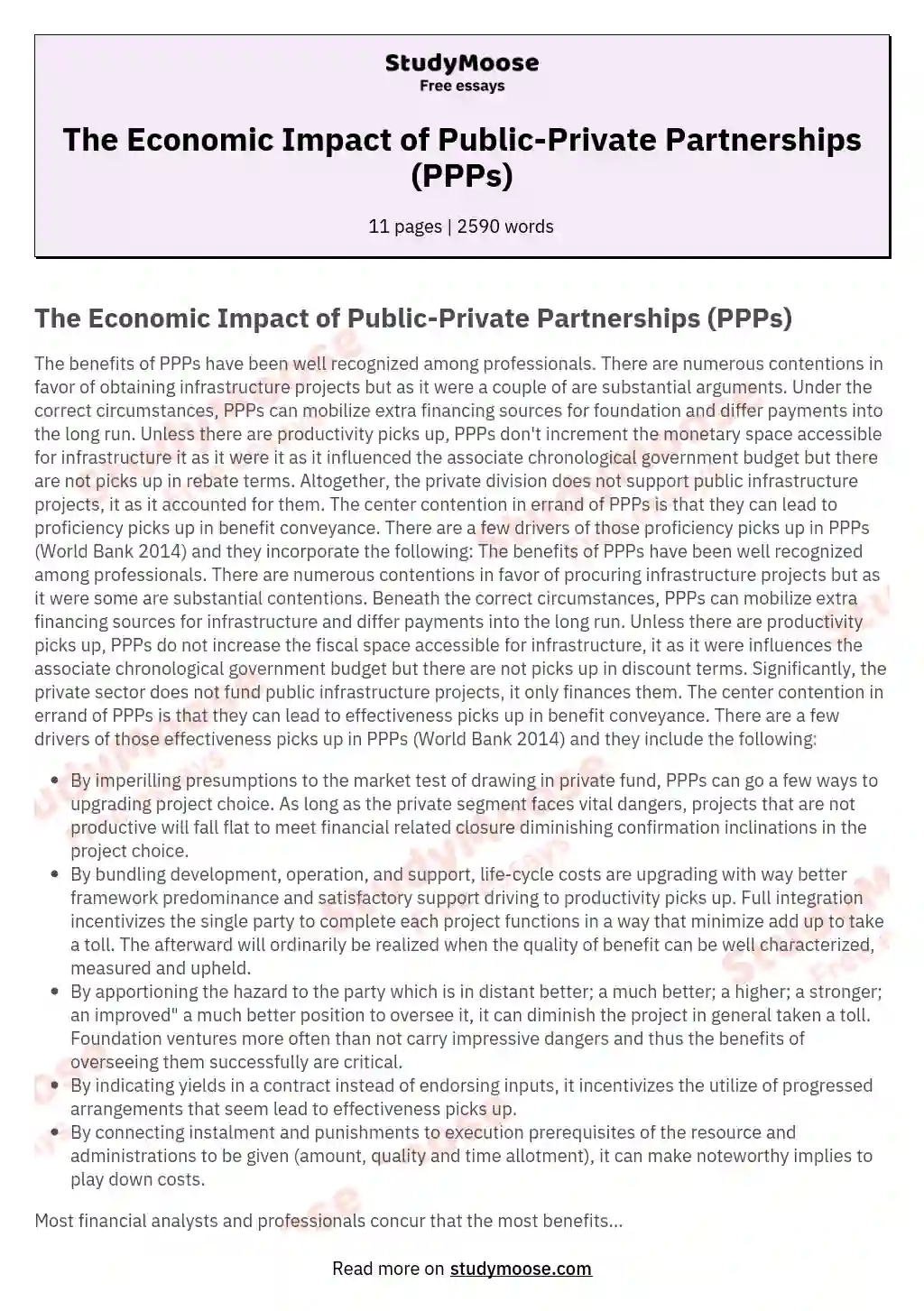 The Economic Impact of Public-Private Partnerships (PPPs) essay
