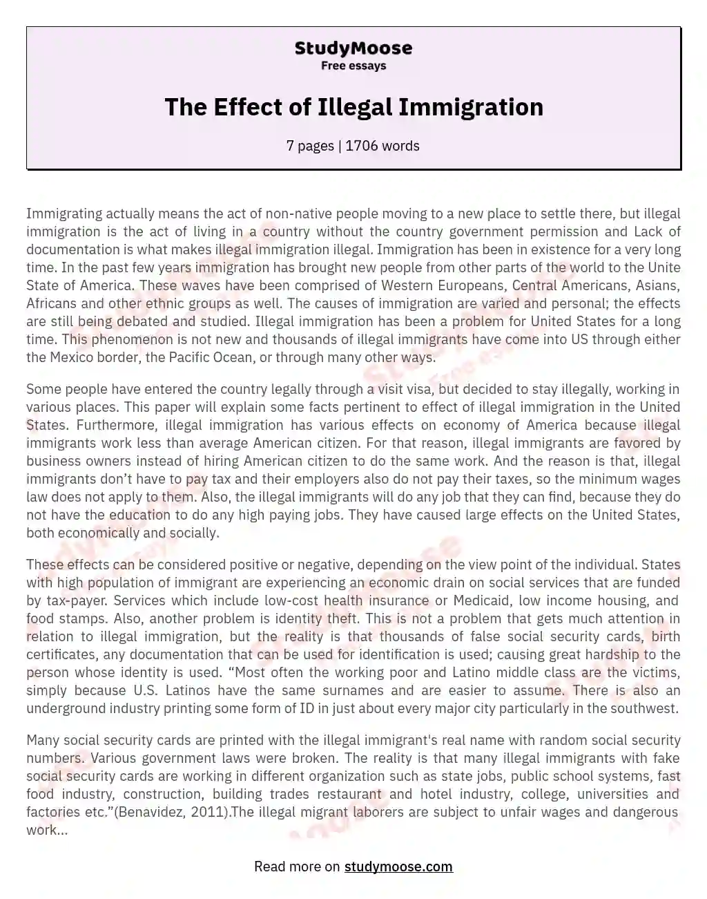 The Effect of Illegal Immigration essay