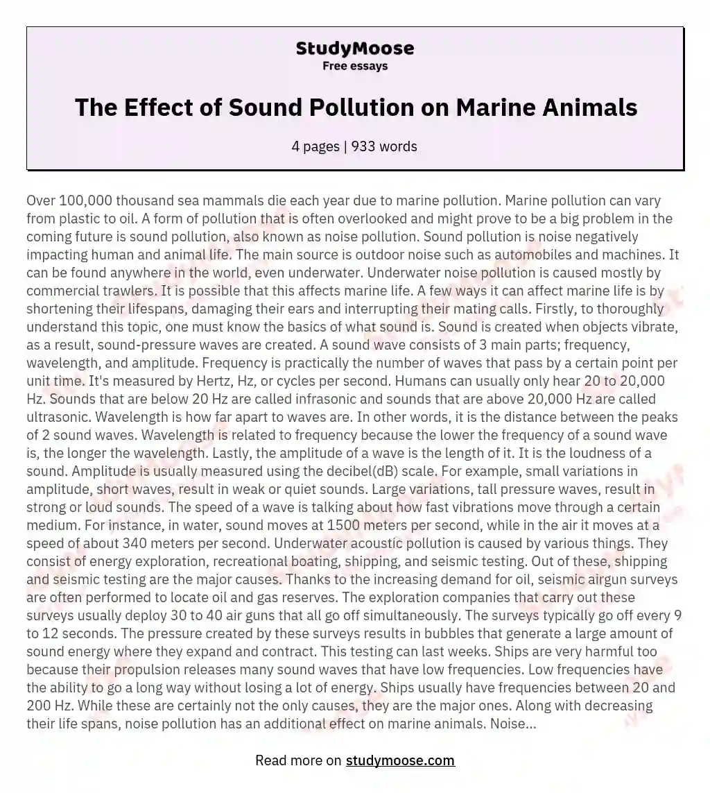 The Effect of Sound Pollution on Marine Animals essay