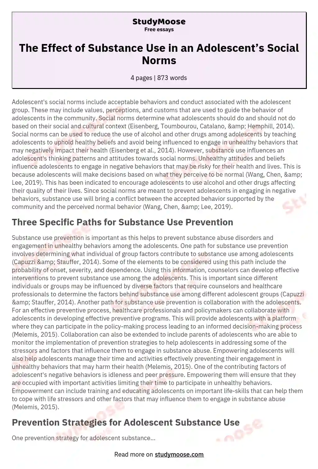 The Effect of Substance Use in an Adolescent’s Social Norms essay
