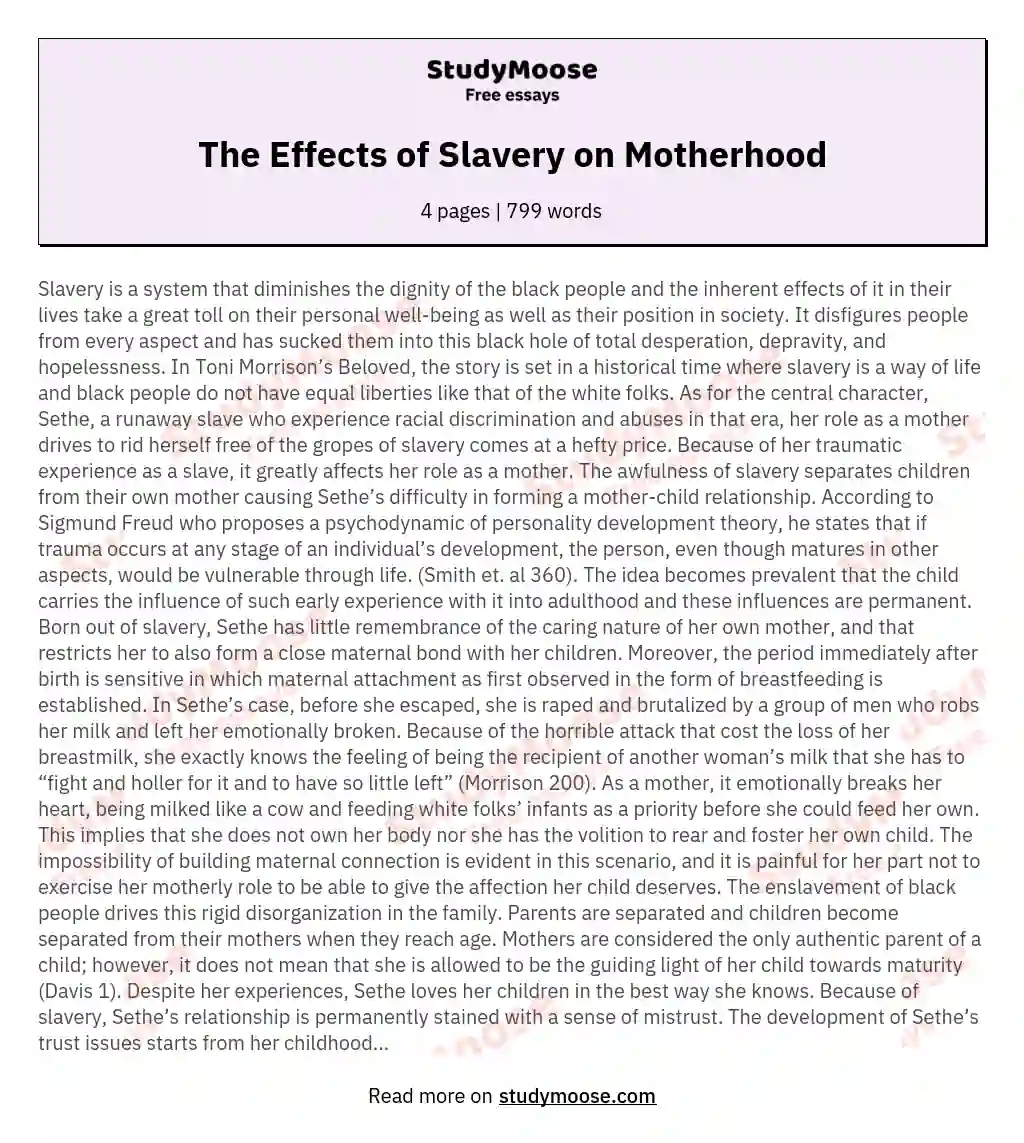The Effects of Slavery on Motherhood essay