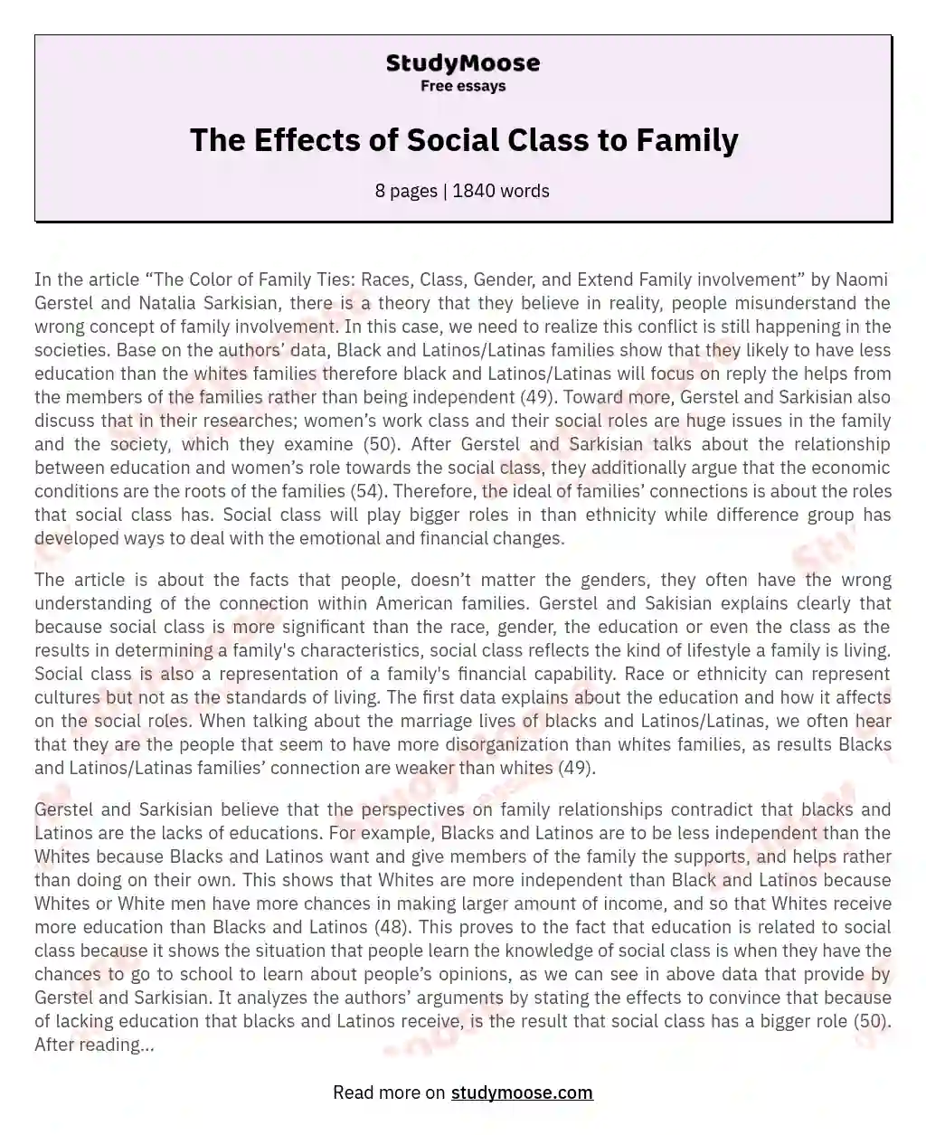 The Impact of Social Class on Family Dynamics essay