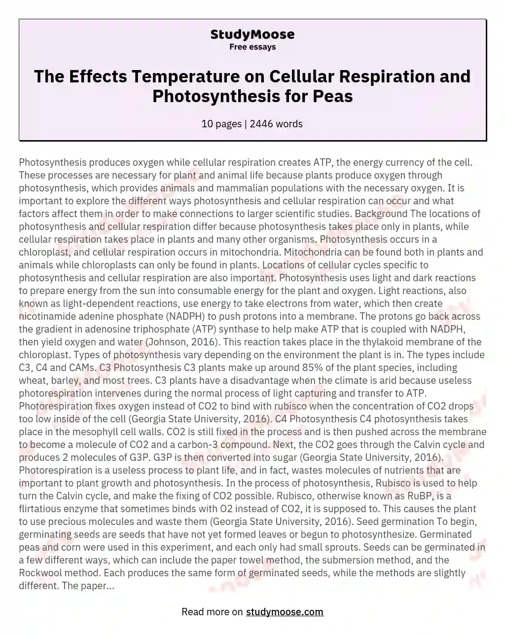 The Effects Temperature on Cellular Respiration and Photosynthesis for Peas essay