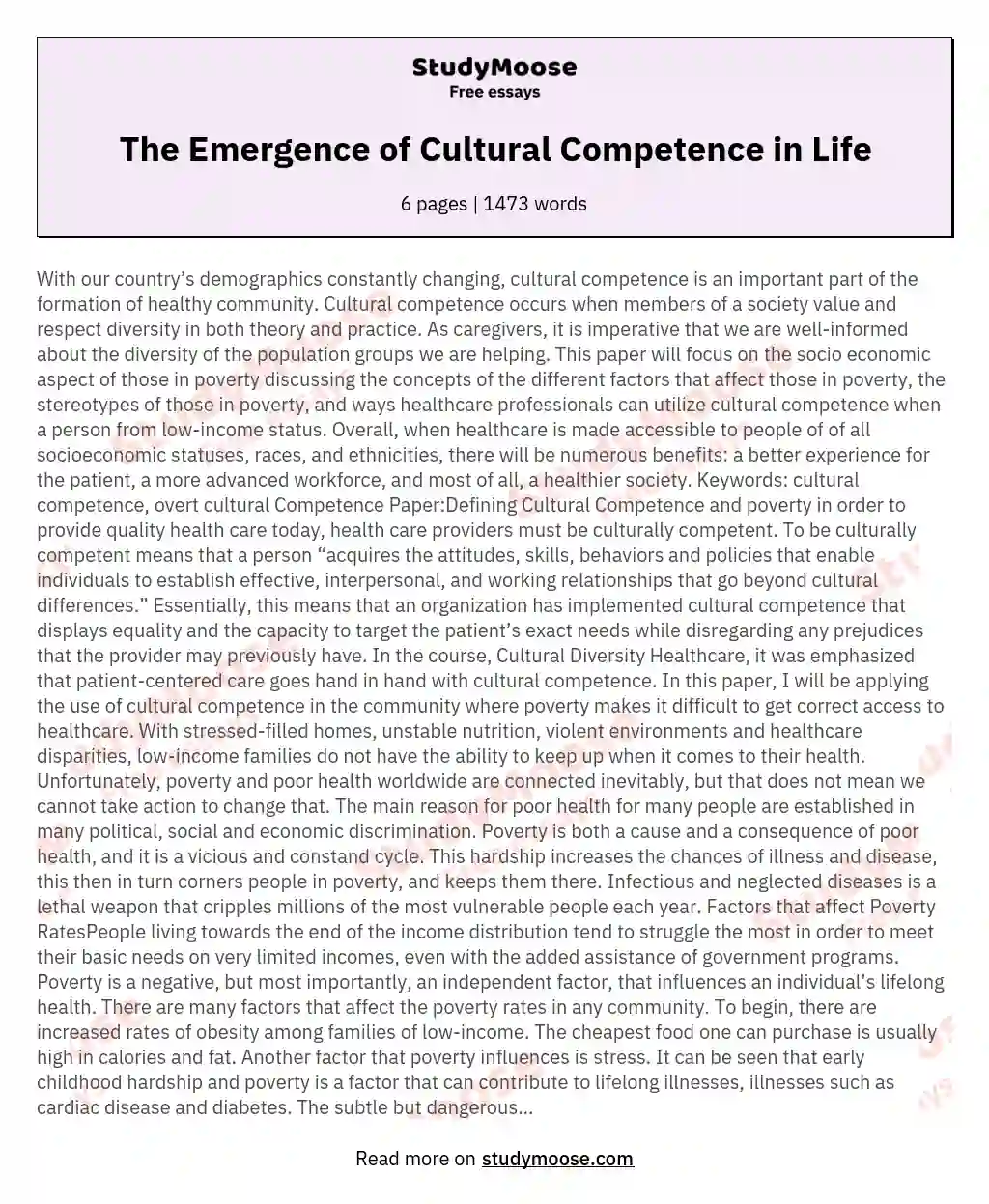 The Emergence of Cultural Competence in Life essay