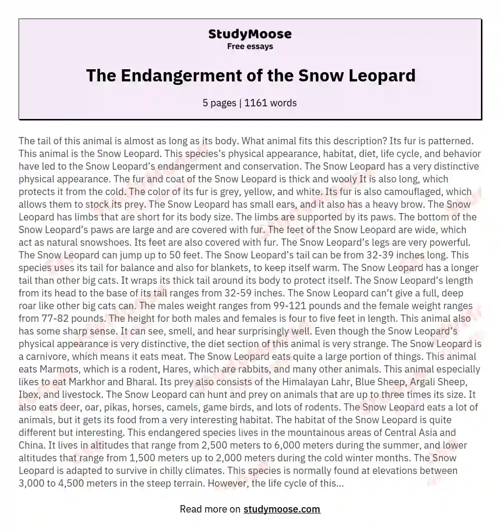 The Endangerment of the Snow Leopard essay