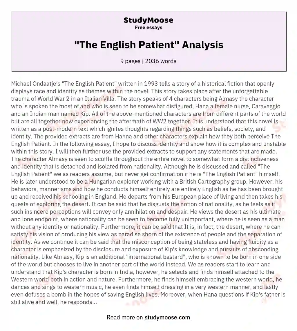 "The English Patient" Analysis essay